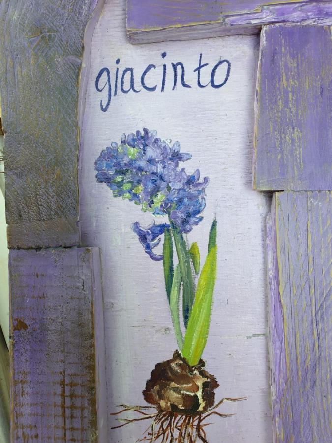 B & B La Primavera Pergola Εξωτερικό φωτογραφία