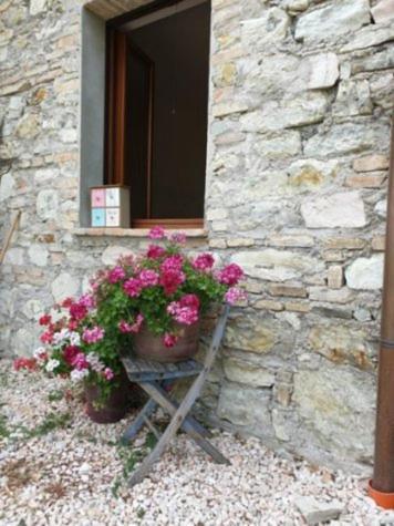 B & B La Primavera Pergola Εξωτερικό φωτογραφία