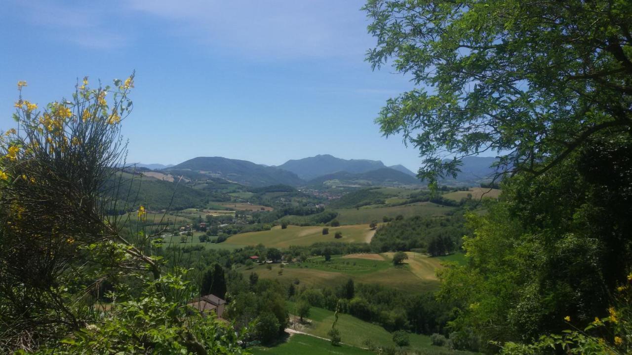 B & B La Primavera Pergola Εξωτερικό φωτογραφία