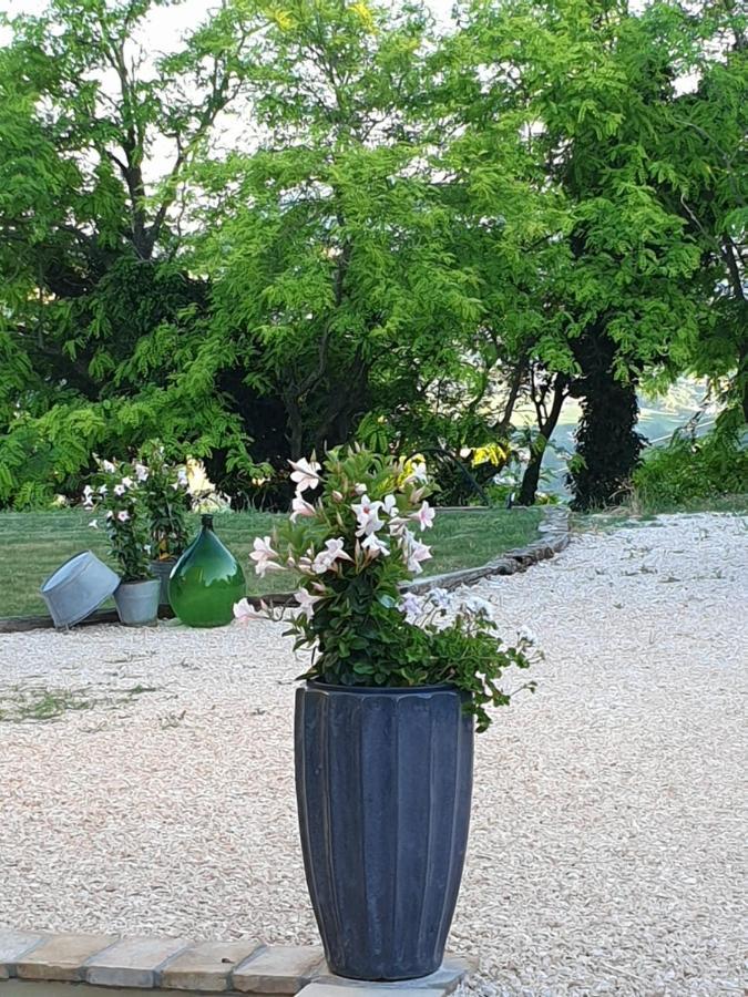 B & B La Primavera Pergola Εξωτερικό φωτογραφία