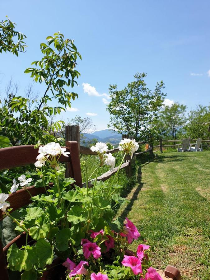 B & B La Primavera Pergola Εξωτερικό φωτογραφία